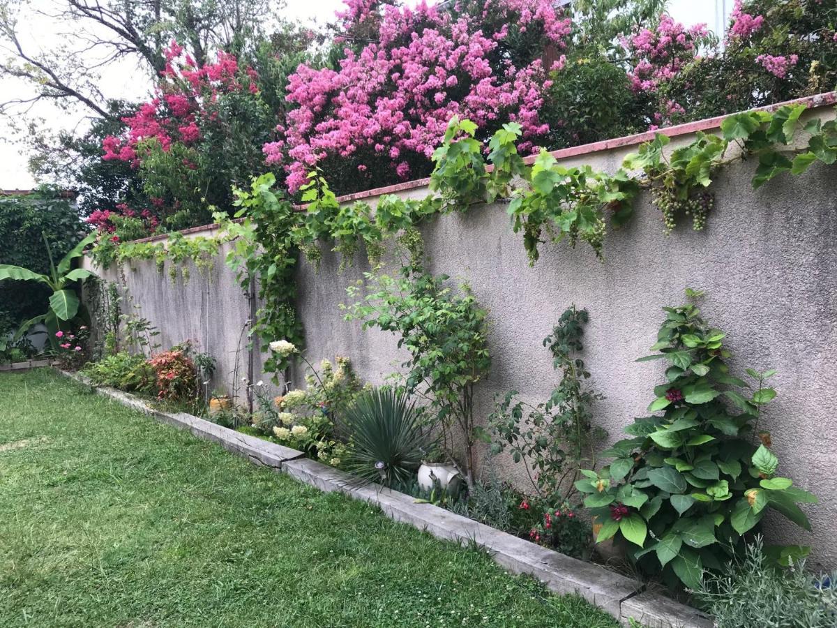La Croix Blanche Bed & Breakfast Dax Luaran gambar